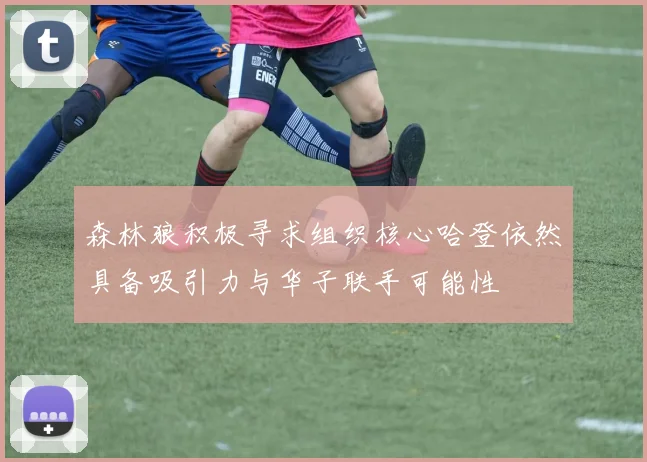 森林狼积极寻求组织核心哈登依然具备吸引力与华子联手可能性