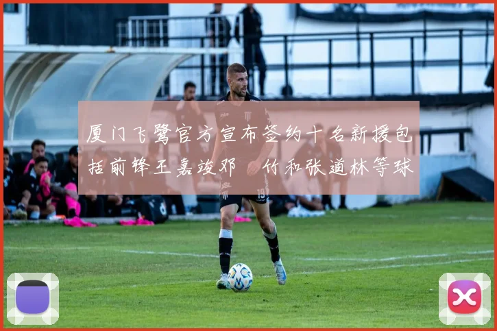 厦门飞鹭官方宣布签约十名新援包括前锋王嘉竣邓棽竹和张道林等球员
