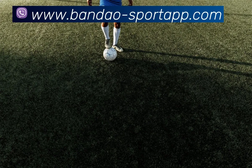 半岛足球体育平台生态图