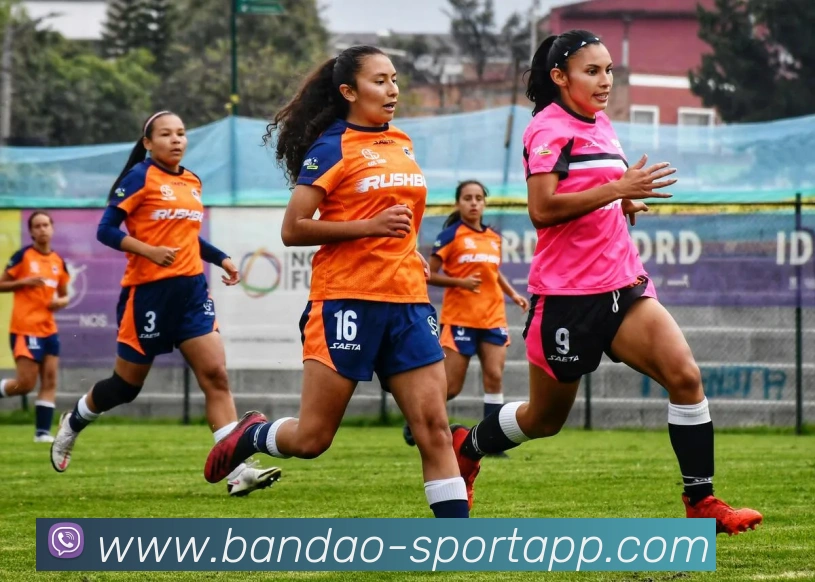 半岛足球体育全站App